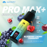 Hayati Pro Max+ 6000 Puffs 20mg - Blueberry Cherry Cranberry