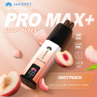 Hayati Pro Max+ 6000 Puffs 20mg - Juicy Peach