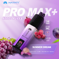 Hayati Pro Max+ 6000 Puffs 20mg - Summer Dream
