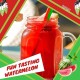 Arizona Watermelon Fruit Juice Cocktail Cans 650ml