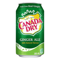 Canada Dry Ginger Beer Ale Flavour 355ml