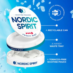 Nordic Spirit Extra Strong 11mg Nicotine Pouches [Frosty Mint / 11mg]