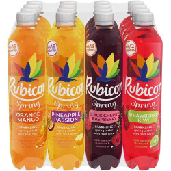 Rubicon Variety Pack 16x500ml