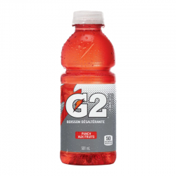 Gatorade G2 Fruit Punch 591ml - Case